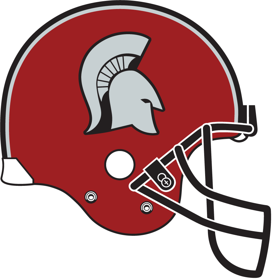 Troy Trojans 1989-1991 Helmet diy DTF decal sticker